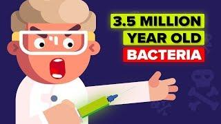 Why Would a Scientist Inject Himself with 3.5 Million Year Old Bacteria?