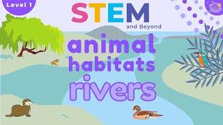 Animal Habitats | Rivers | KS1 Science Resources