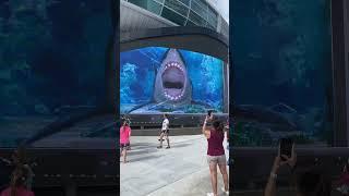 3D Shark Action! Runnnn!!! #bahamas #nassau #shark #epic  #wow