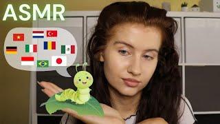 ASMR telling you a BEDTIME STORY in different LANGUAGES - the hungry CATERPILLAR 