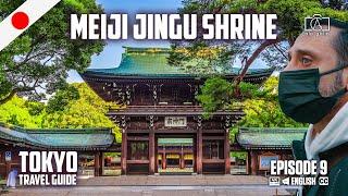 Meiji Jingu Shrine Tokyo | Travel guide & things to do in Shibuya Japan