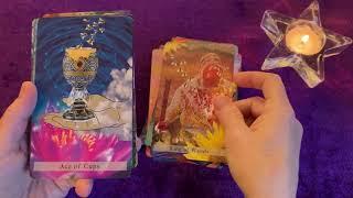 Keeper of the Sacred Bee Tarot Unboxing