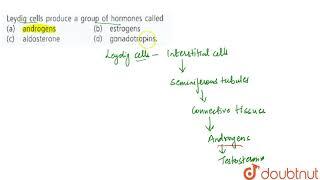 Leydig cells produce a group of hormones called