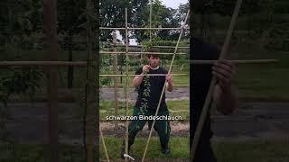 DIY espalier fruit growing #diy #organicfarming #gardentips #self-sufficient #organicgardening