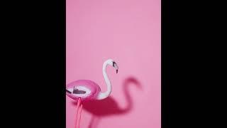 No Copyright l Free Download l Audio & Video l Free Music & Sound - EC Creative Commons