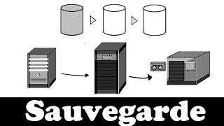 Comprendre la sauvegarde en 7 minutes