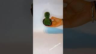 Crochet chunky turtle text me for info#schildpad #turtle #turtles #crochetturtle @GwenniezCrochet