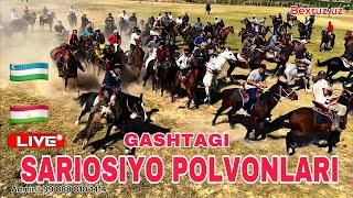 Sariosiyo Polvonlarinig Kópkari Gashtagi 13.10.2024 #bexruz_uz #uloq_kokpari