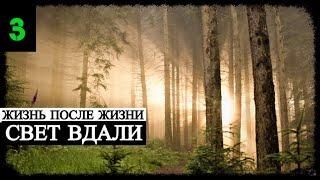 Жизнь после Жизни - Свет вдали (часть 3)