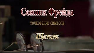 К чему снится Щенок сонник, толкование сна