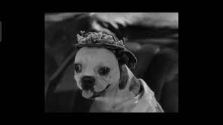 A Dogville Comedy - The Big Dog House (1930) (Complete Pre Code Movies) Short And Comedy