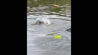 Pellet Waggler Fishing Has Changed!