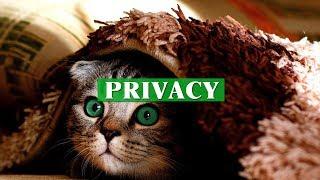 Privacy | Bitesized UK Employment Law Videos by Matt Gingell