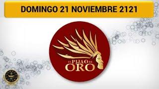 Resultado EL PIJAO DE ORO del domingo 21 de noviembre del 2021 