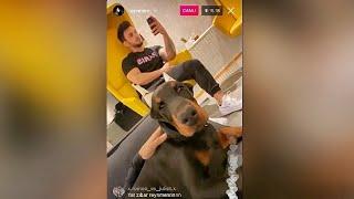 Reynmen & Zeus | İnstagram Canlı Yayın | İbrahim Tilaver