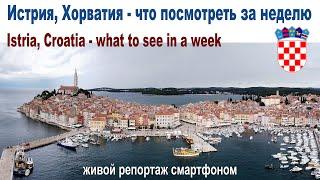 Полуостров Истрия, Хорватия - что посмотреть за неделю  (репортаж смартфоном)  |  Istria, Croatia