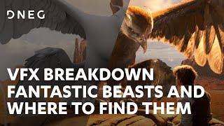 Fantastic Beasts and Where to Find Them | VFX Breakdown | DNEG