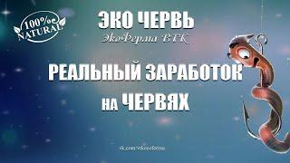 РЕАЛЬНЫЙ ЗАРАБОТОК НА ЧЕРВЯХ!!!!!ДЕНДРОБЕНА ККЧ