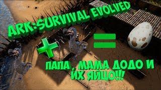 Ark  Survival Evolved Додо -спаривание , получаем яйца, строим вольер, основа для корма (kibble)