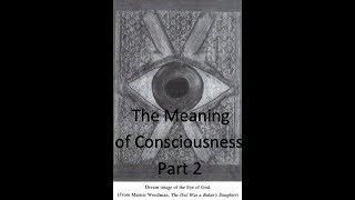 "The Meaning of Consciousness" - Chapter 2, Part 2 of _The Creation of Consciousness_