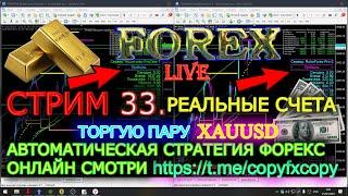 Реальные счета торгую XAUUSD, 33. #Live #forex #scalping #forextrade