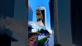 amazing tiger china 3d billboard‼️#shorts #3d #china