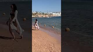 Жаркая зима в Египте. Hotel Sierra / Savoy. Sharm el Sheikh. December 2023.
