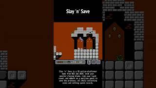 SLAY 'N' SAVE