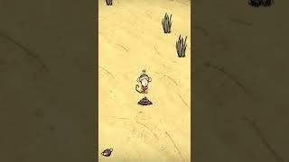 УИЛБУР КИДАЕТ НАВОЗ В НЕБЕСА В Don't Starve Shipwrecked #shorts #дст #dst #dontstarve #донтстарв