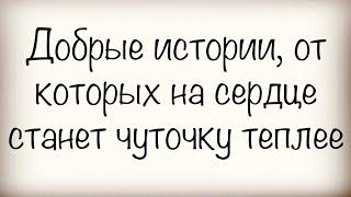 Добрые истории, от которых на сердце станет чуточку теплее