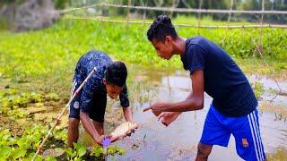 Fishing Video |  Amazing boy Fishing Video | Amazing Underground Monster Fishing By Hand