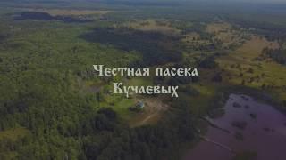 Честная пасека Кучаевых