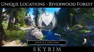 UNIQUE LANDSCAPE - RIVERWOOD FOREST | Skyrim SE Ultra ENB Graphics | Nvidia GTX 1080