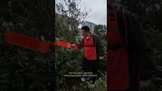Mini handheld tea harvester machine
