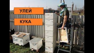 Улей Кука. Сравнение с десятирамочным рутом.