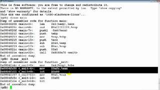 Buffer Overflow Primer Part 2 (Writing Exit Shellcode)