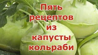 Как сохранить и что приготовить из кольраби Пять рецептов - салат, суп, оладушки, квашеная и другое