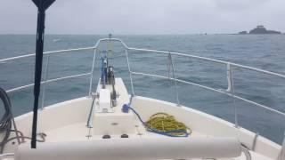 Following Sea NP49