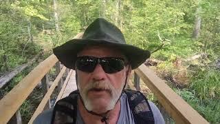 For Shaz 73.  Taking a walk in an old growth forest Rondeau Bay SW Ontario