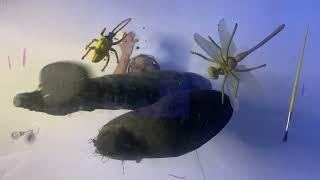 Bug crush trample under glass