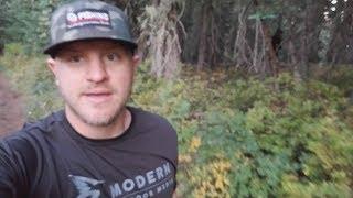 Sasquatch Sighting near Portland Oregon
