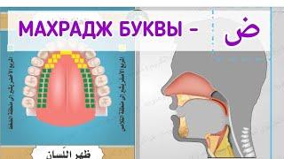 МАХРАДЖ БУКВЫ - ض