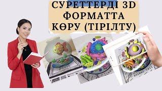 Cуреттерді 3d форматта көру (тірілту)