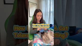 CAT VS. CROCHET #crochet #crocheting #amigurumi