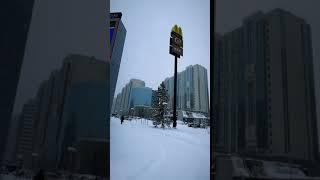 Beauty of winter in  Kyrgyzstan