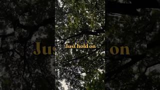 Guess This Country! | #uvaflyers #nature #birds #viralshorts #youtubeshorts
