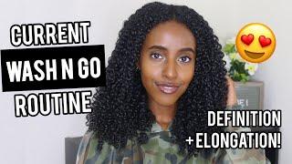 Updated Curly Hair Wash N Go Routine | Elongation + Definition | Lydia Tefera