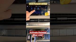 Network ERROR Activating Hyundai Blue Link 2020 Palisade Limited