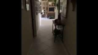 your nightmares are real (Vine #3)