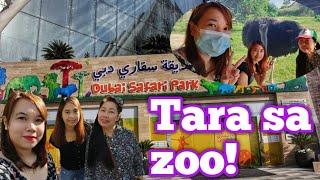 Vlog # 31 | Dubai Safari Park | Wander Tinay 